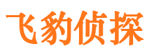 中卫市侦探公司